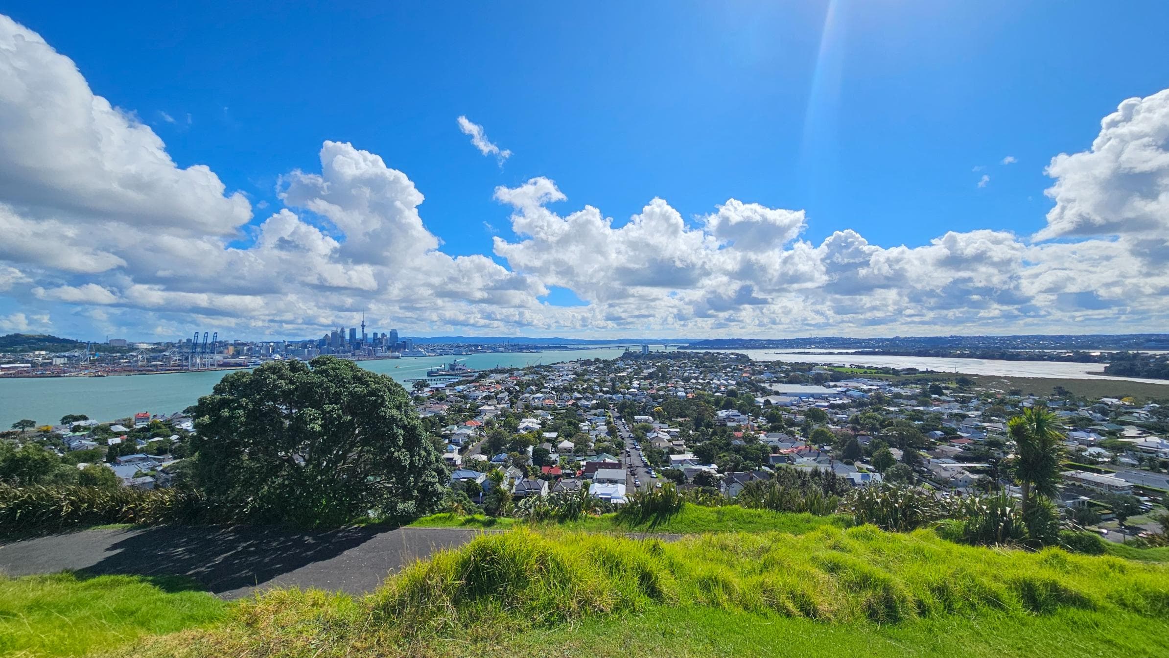 Auckland view